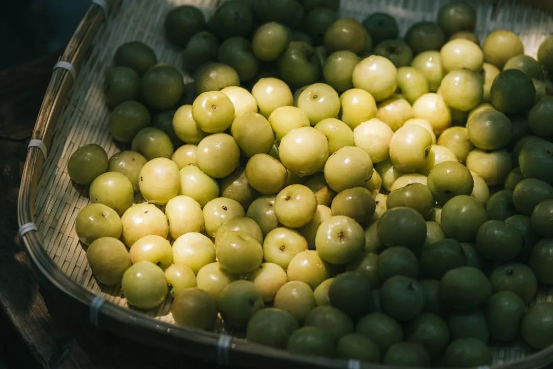 餐饮大事件235期|第一家“邮氧的茶”开业、奈雪的茶通过港交所上市聆讯