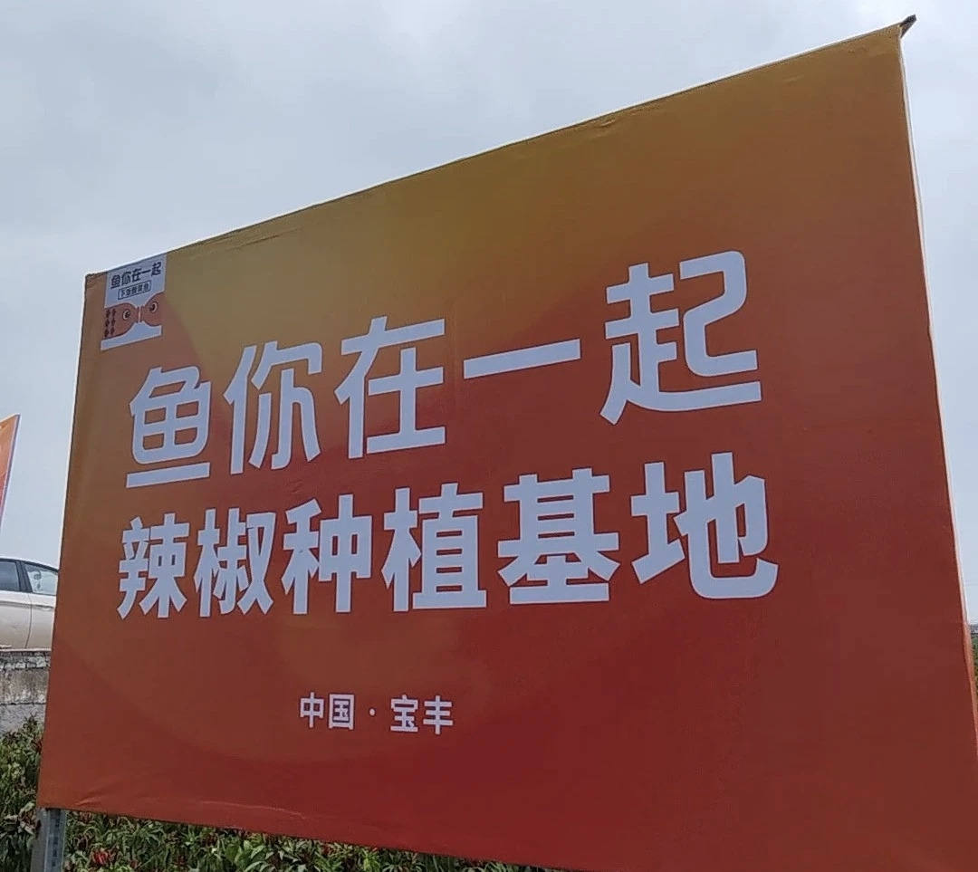 鱼你在一起荣获两项大奖，展现新质生产力下的雇主品牌变革