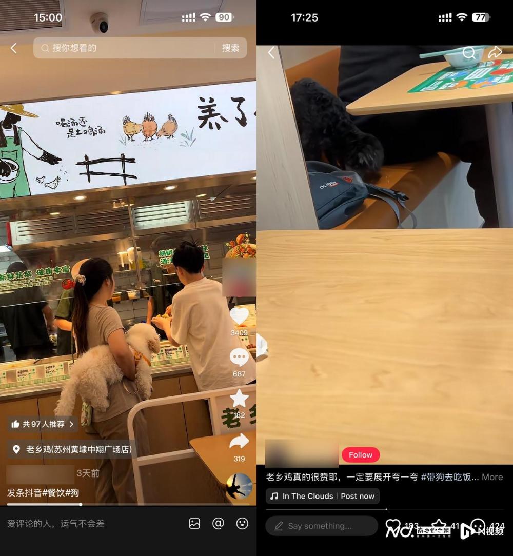 老乡鸡携宠进店争议：危机公关与行业思考