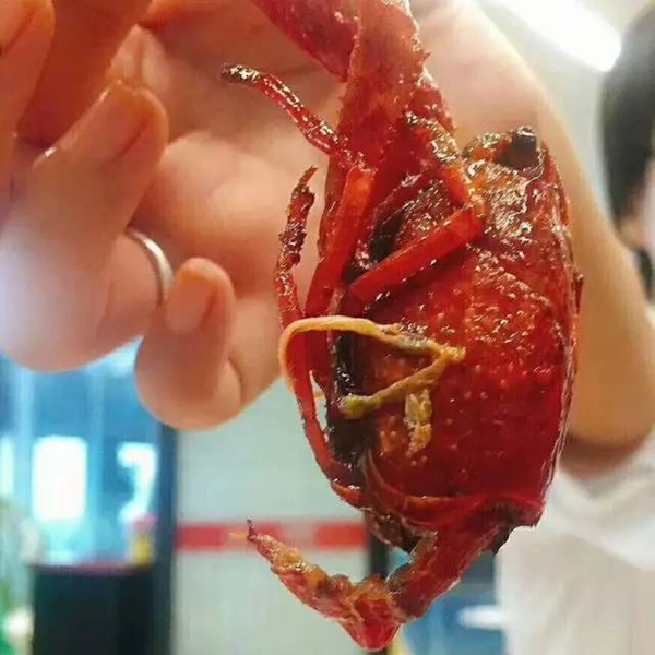 帝都当红小龙虾测评：谁家的“麻小”在说谎？|餐饮界