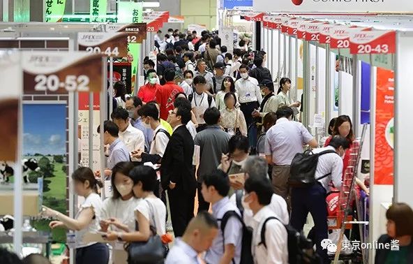 江西天凯乐首秀日本国际食品展，椰子灰冰淇淋荣获JFEX AWARDS金奖！|餐饮界